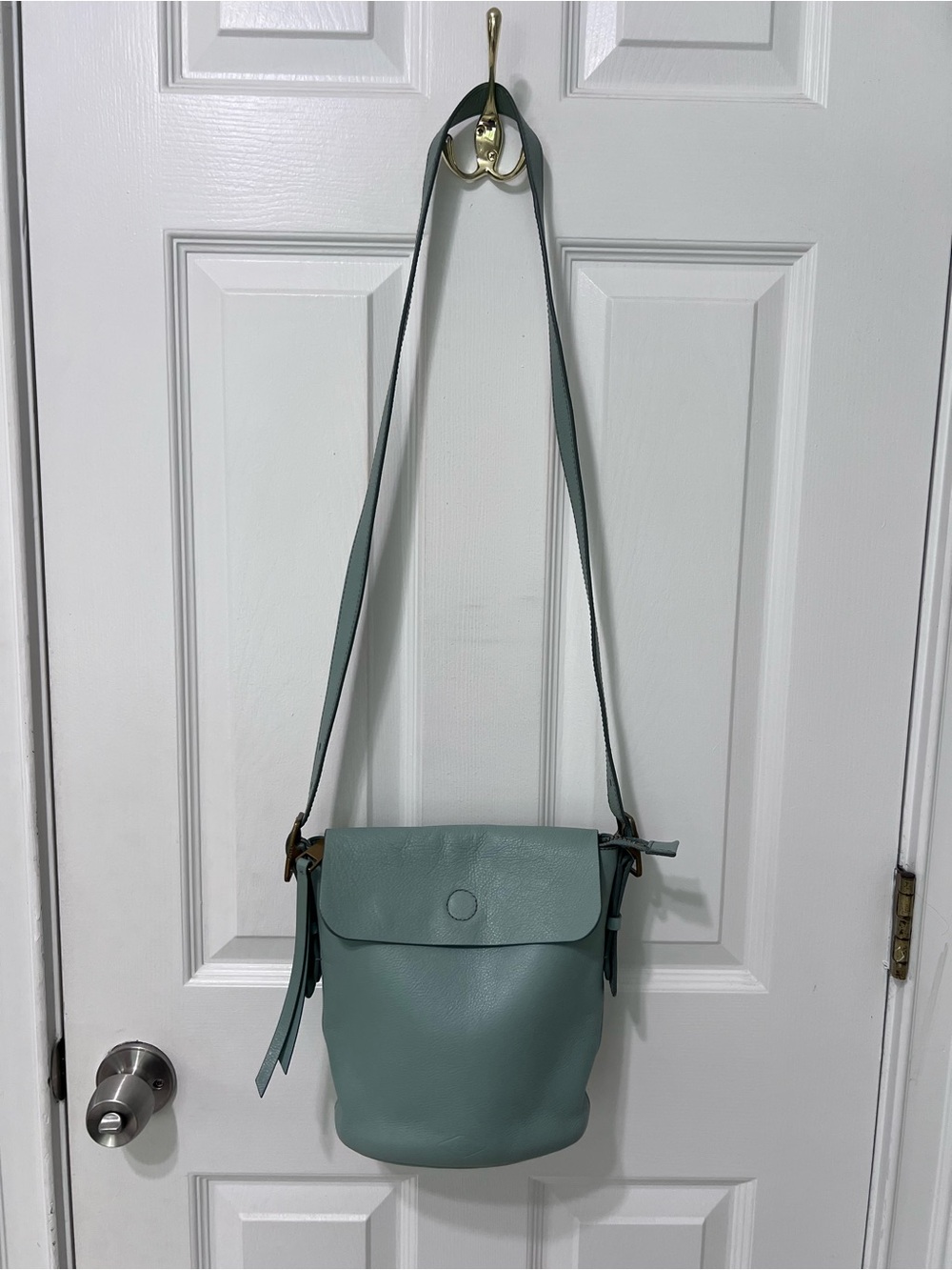Fossil Leather Crossbody Bucket Bag in Sage Green